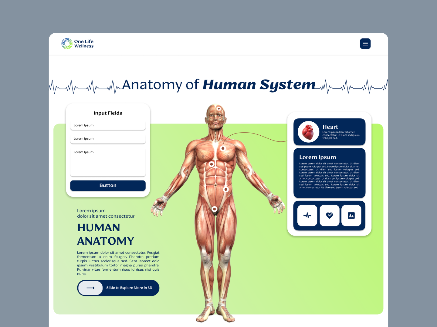 Home About us Anatomy Contact One Life Wellness, A manual for life Lorem ipsum dolor sit amet consectetur. Click to open Adult Anatomy LOREM IPSUMDOLOR Lorem ipsum dolor sit amet consectetur. Feug (2)